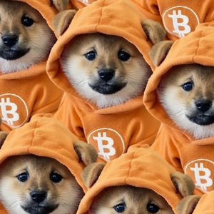 Why Bitcoin's Biggest Meme Coin Just Bridged Over to Solana