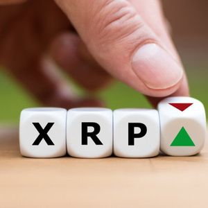 XRP Allocations More Common Than Solana Among Institutions: Coinbase, EY