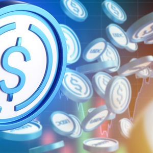 Circle Debuts Stablecoin-Based Network to Reduce Costs, Delays in Global Payments