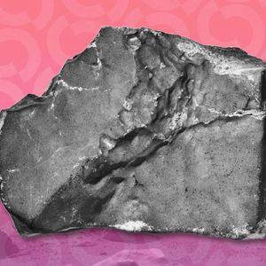 You Can Buy a Martian Meteorite With Bitcoin—If You Have Upwards of $4 Million