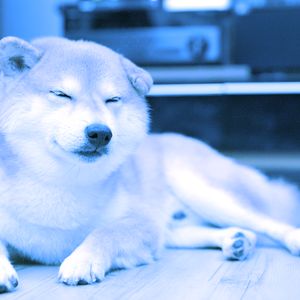 Dogecoin Plummets 9% as Crypto Markets Flash Red