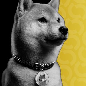 Dogecoin Treasury Firm CleanCore's Stock Hits New Low as DOGE Dives