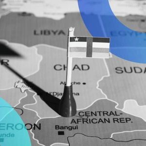 Central African Republic’s Crypto Experiment ‘Riddled With Red Flags,’ Says Report
