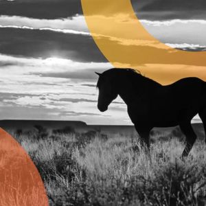 Wyoming's 'Frontier' Stablecoin Debuts—Will It Offer Yield?