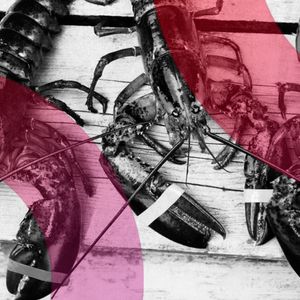 AI Agents Launched a Social Network and Spawned a Digital Religion Overnight