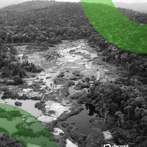 Stablecoins Have ‘Increasing Relevance’ in Illicit Amazon Gold Trade: GI-TOC