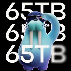 Allium Brings 65TB of Data from Bitcoin, Ethereum, Sui and More to Walrus