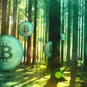 Pega Pool Aims to Make Bitcoin Mining Eco-Friendly With Carbon Offsets