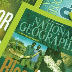 First National Geographic NFT Launch Meets Massive Backlash, Technical Issues