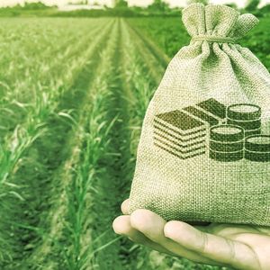 Fluidity Aims to Reward Actual DeFi Users Over Profit Farmers