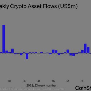 Short-Bitcoin Funds Record $10M in Weekly Inflows: CoinShares