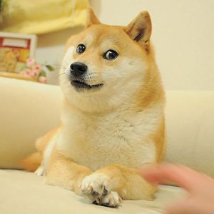 Shiba Inu Layer 2 Blockchain Shibarium to Release Beta Version This Week