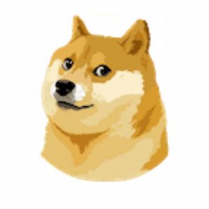 Dogecoin Surges More Than 30% After Token's Symbol Replaces Blue Bird as Twitter Logo