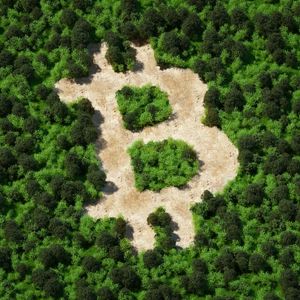 Could Bitcoin Be the Greatest ESG Investment of All Time?