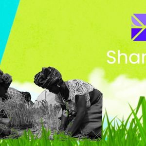 Shamba Network Sows the Future of Sustainable Agriculture in Africa