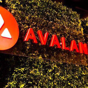 Alibaba Cloud Builds Metaverse Launchpad on Avalanche