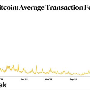 Bitcoin’s Frenzy of Activity Pushes Average Transaction Fee Over $7, Nearly 2-Year High