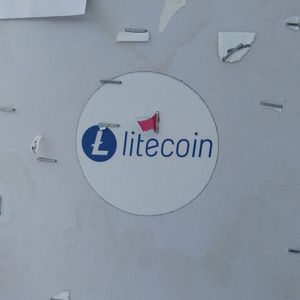 Litecoin Transactions Hit Record High as Bitcoin Fees Surge Amid BRC-20 Frenzy