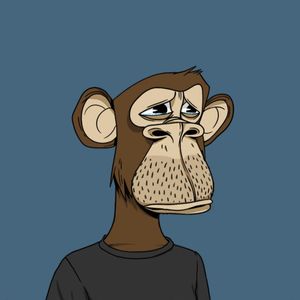 Is Justin Bieber’s Ape Really Worth $59,000? The Nuances of Valuing NFTs
