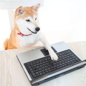 Early Shiba Inu Holder With 10% of Supply Moves $30M in SHIB Tokens