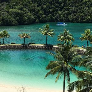 Pacific Island Group of Palau Starts Stablecoin Trial on XRP Ledger