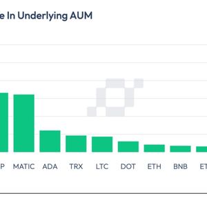 Stellar, Ripple and Solana-Based Investment Funds See AUM Spike in July