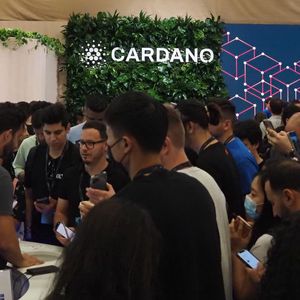 Cardano Blockchain Transactions Jumped 49% Last Quarter as ADA Sentiment Grew
