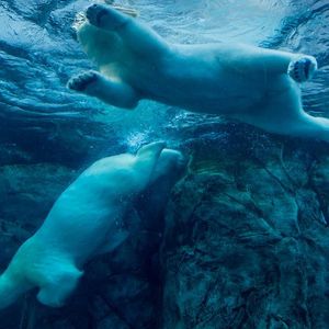 Altcoin Plunge Leads Crypto Lower; Bitcoin Slips 0.7% to $29,150