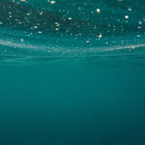 Nearly 90% of Bitcoin Short-Term Holders Are Underwater, Onchain Data Show
