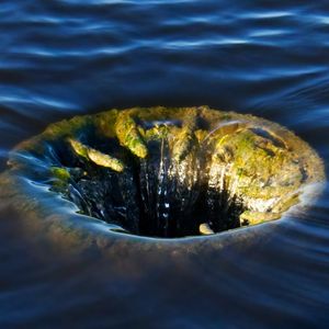 Default of Tokenized Loans on Centrifuge Puts MakerDAO’s Investment at Risk