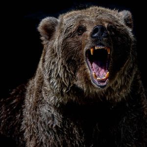 Bitcoin Slumps Under $26K as Bearish Outlook Engulfs Crypto Market