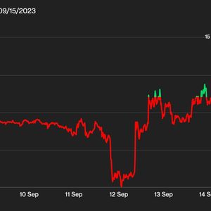 Bitcoin Bounce Puts Altcoin Bears at Risk
