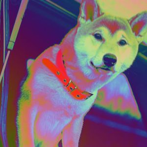 Shiba Inu Developers Floated a Dummy Token and Now Activist Traders Are Making it a Real Thing