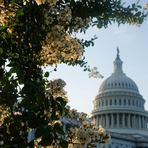 The Government Shutting Down Isn't Great for Crypto