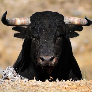 Bitcoin Jumps to Near $28K As Bulls Bet on ETF Approval