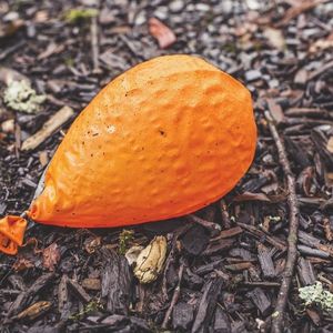 Investor Demand for Ether Staking Yields Has Slowed: Coinbase