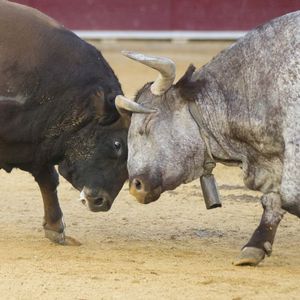 Bitcoin Inches Closer to $30K as ETF Hope Drives Bulls