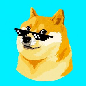 Dogecoin, Shiba Inu Jump 9% as Crypto Traders Take Riskier Bets