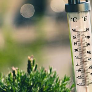 Bitcoin Shows no Signs of Overheating, Despite Doubling This Year