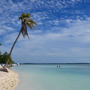 Prisoners’ Dreams to Stash $54M in Crypto in Exotic Locales Dashed as Feds Grab Them for Treasury