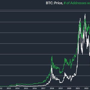 Bitcoin Addresses With Over $1K of BTC Hits Record 8M, Data Shows