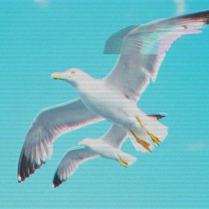 Sam Bankman-Fried Will Not Be Crypto’s Albatross