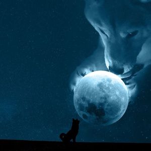 A Physical Dogecoin Could Reach the Moon in December