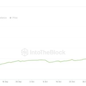 Dogecoin Now Held at 5M Crypto Addresses, Though Concentration Remains a Concern