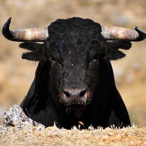 Bitcoin Eyes $40K as $1B in BTC Withdrawals Suggests Bullish Mood