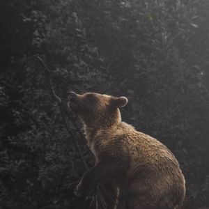 Crypto Bulls Lose $217M as Apparent Grayscale Sales Weighs on Bitcoin