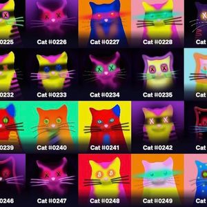 Taproot Wizards Delays 'Quantum Cats' Sale for 2nd Time, After Messy Bitcoin NFT Debut