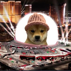 Dogwifhat Community Plan to Put the Meme on the Vegas Sphere