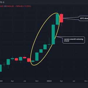 Bitcoin Set to Become More Dominant Even as BTC Stares at First Monthly Loss Since August
