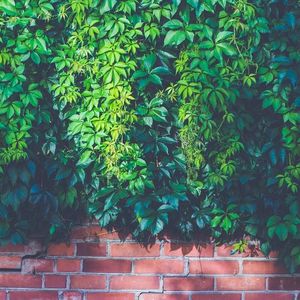 Ether Bears Hit a Brick Wall as Price Collides With Bull-Market Trendline